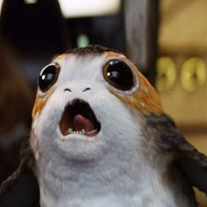 Meet your Posher, Taviah